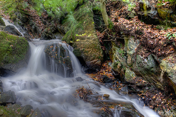 Stream at Tarn Hows