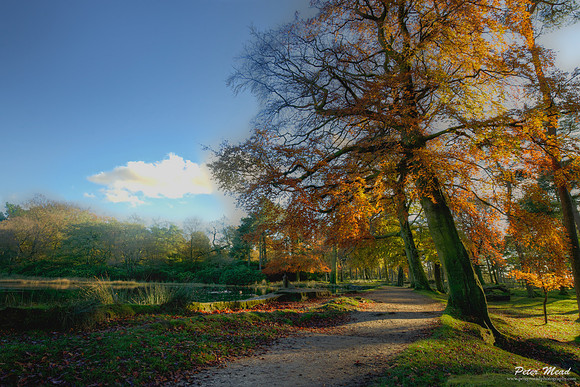 Autumn - Longshaw Estate