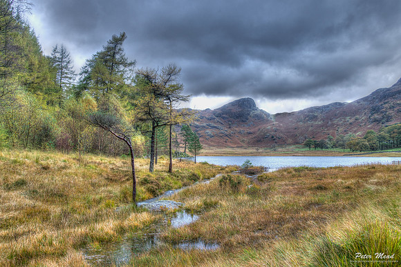 Blea Tarn, Langdale